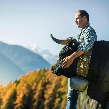 Fata Morgana 6 Apartamento Bettmeralp