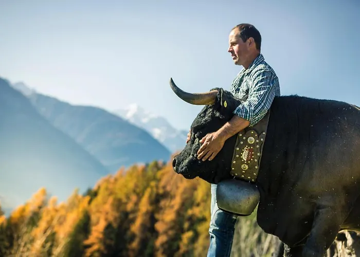 Fata Morgana 6 Apartman Bettmeralp